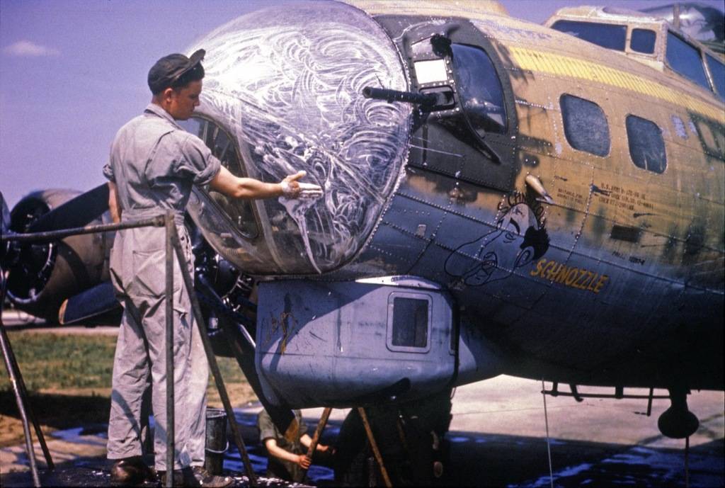 WT8-B17G-8AF-Schnozzle-color-AAF-photo.jpg