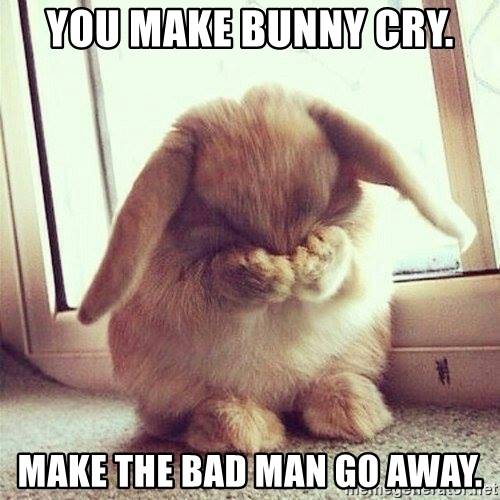 you-make-bunny-cry-make-the-bad-man-go-away.jpg