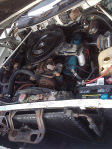 Polara engine compartment.jpg Polara engine compartment.jpg