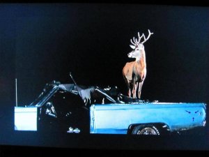 IMG_0646.jpg IMG_0646.jpg