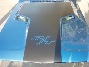 P6100002.jpg P6100002.jpg