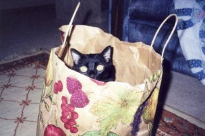 scan0030.jpg scan0030.jpg