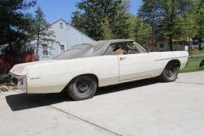 137743 2013 right.jpg