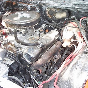 100_2857 (Medium).JPG