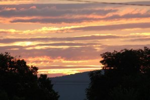 IMG_4522.jpg IMG_4522.jpg