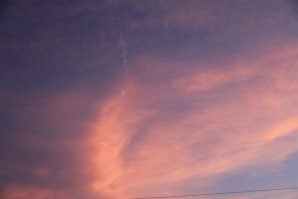 IMG_4529.jpg IMG_4529.jpg