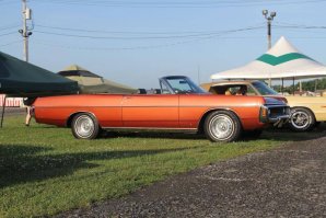 IMG_4533.jpg IMG_4533.jpg