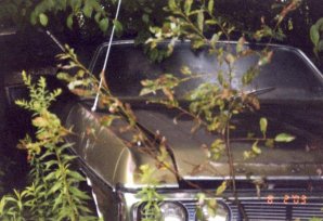 New York Junkyard rught front.jpg New York Junkyard rught front.jpg