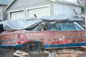 NB 2009 right.jpg NB 2009 right.jpg