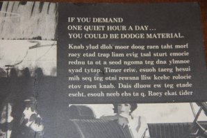 IMG_4749.jpg IMG_4749.jpg