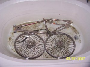 100_3753.jpg 100_3753.jpg