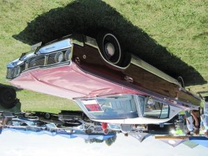 CIMG_7515..sm.jpg CIMG_7515..sm.jpg