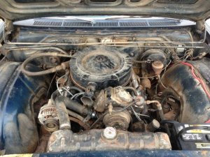 IMG_2041.jpg IMG_2041.jpg