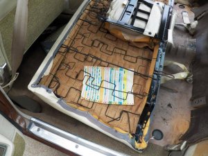 100_3262.jpg 100_3262.jpg