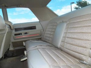 100_3310.jpg 100_3310.jpg