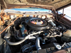 100_5169.jpg 100_5169.jpg