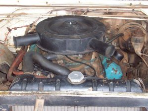 100_0415.jpg 100_0415.jpg