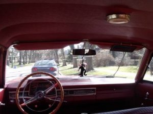 DSCF6375.JPG DSCF6375.JPG