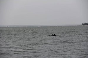 IMG_5174.jpg IMG_5174.jpg