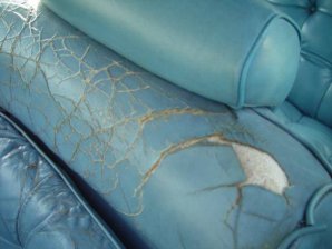 DSC02006.jpg DSC02006.jpg