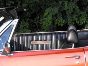 187134 2011 door panel.jpg 187134 2011 door panel.jpg