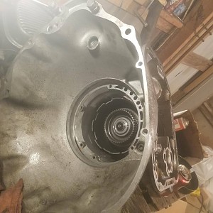 24740023_837397523088319_1596884336_o (1).jpg