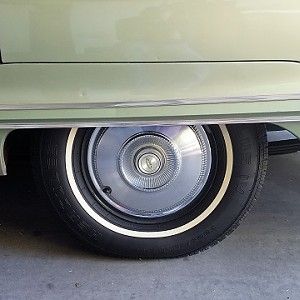 20180124_135656 - Copy - Copy.jpg