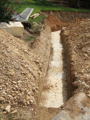 DSCF1244.jpg DSCF1244.jpg