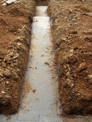 DSCF1246.jpg DSCF1246.jpg