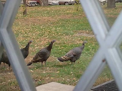 October 2003 (1).JPG