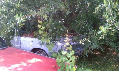 00R0R_ead0aKYVVB_600x450.jpg 00R0R_ead0aKYVVB_600x450.jpg