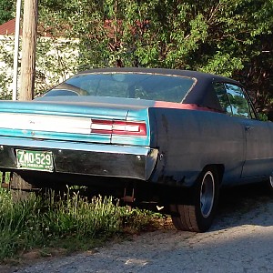 My Little Beast Lol  ;-)