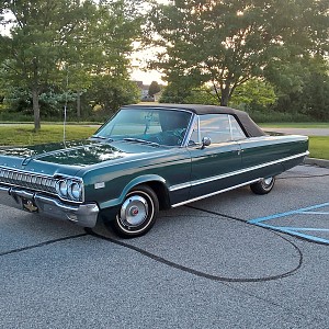 65 Polara New Top