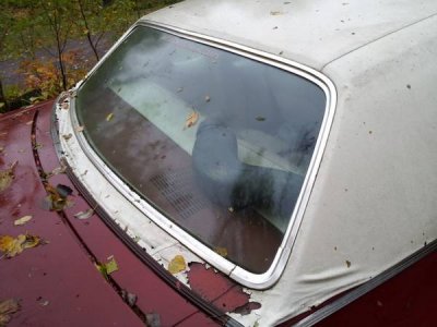 00o0o_b070RYLAp4P_600x450.jpg 00o0o_b070RYLAp4P_600x450.jpg