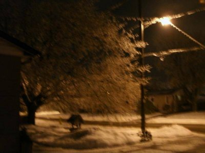 GEDC1535.jpg GEDC1535.jpg