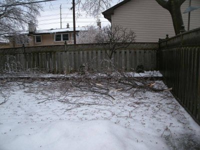 GEDC1542.jpg GEDC1542.jpg