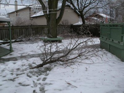 GEDC1545.jpg GEDC1545.jpg