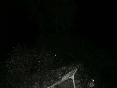 GEDC1550.jpg GEDC1550.jpg