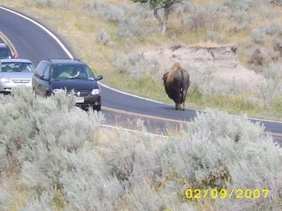 STA71317.jpg STA71317.jpg