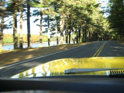 IMG_0603.jpg IMG_0603.jpg