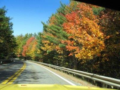 IMG_0605.jpg IMG_0605.jpg