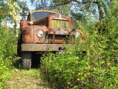 IMG_0512.jpg IMG_0512.jpg