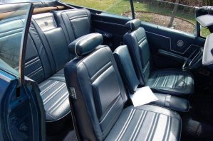 DSC_6011.jpg DSC_6011.jpg