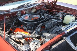 IMG_1292 (1024x683).jpg