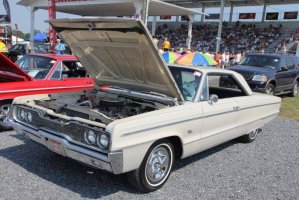 IMG_1294 (1024x683).jpg