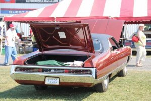 IMG_1298 (1024x683).jpg