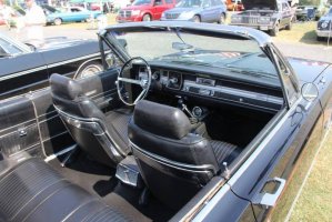 IMG_1303 (1024x683).jpg