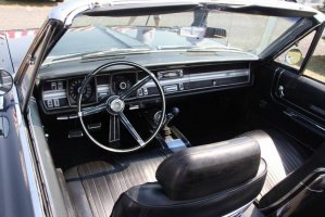 IMG_1305 (1024x683).jpg