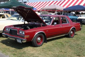 IMG_1310 (1024x683).jpg