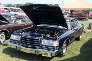 IMG_1312 (1024x683).jpg